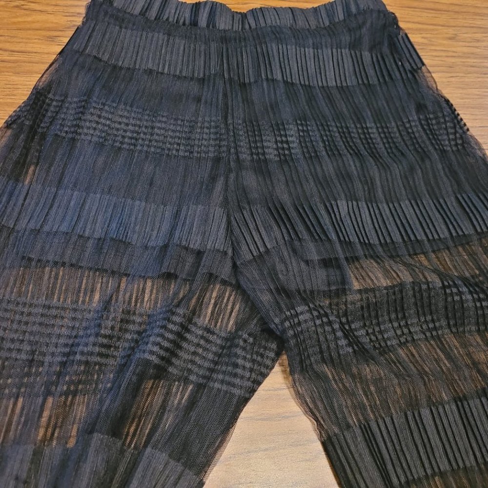 Sheer Wide Leg Pants